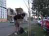 Timişoara un oraș verde, viu, sănătos și îngrijit prin inițiativa Green Twin | VIDEO