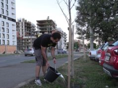 Timişoara un oraș verde, viu, sănătos și îngrijit prin inițiativa Green Twin | VIDEO