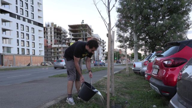 Timisoara verde cu Green Twin m05s925